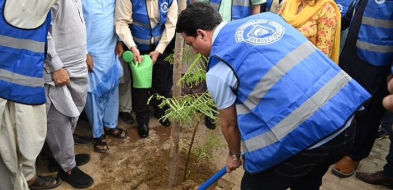 Mai Kolachi Goes Green: Tree Planting Drive Boosts Karachi Environmental Efforts