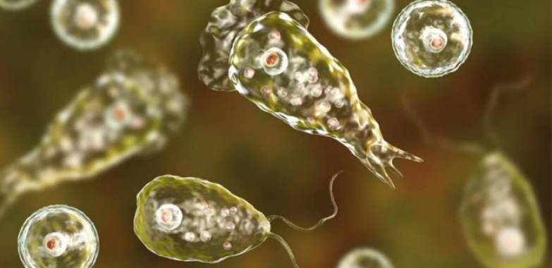 Karachi Naegleria Fowleri Death Toll Reaches 5 with Latest Victim
