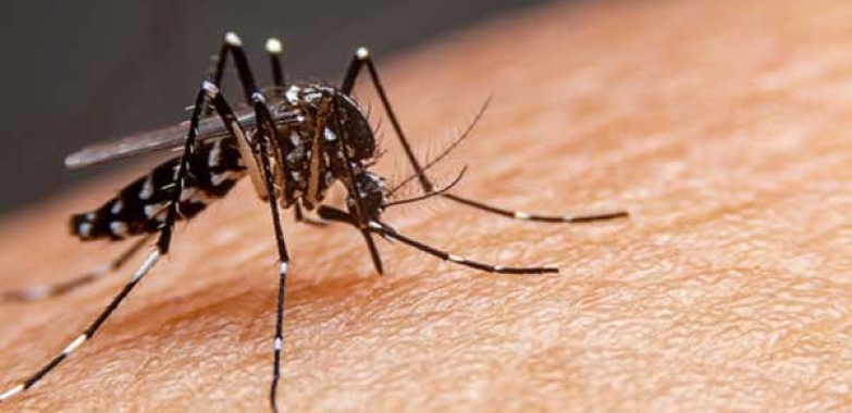 Bangladesh is facing its most severe outbreak of a dangerous sickness called dengue fever.